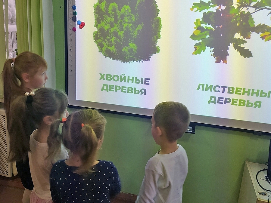 Экологическое воспитание в ДОУ Экологическое воспитание в ДОУ