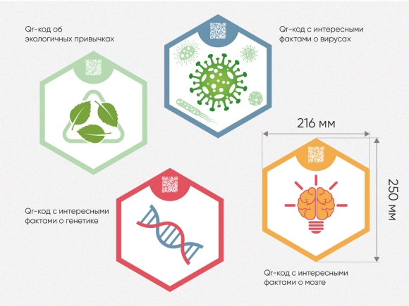 «Стендум - Биология» - набор информационно-методических панелей (14 шт.)
