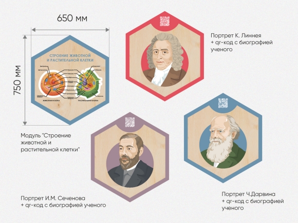 «Стендум - Биология» - набор информационно-методических панелей (14 шт.)