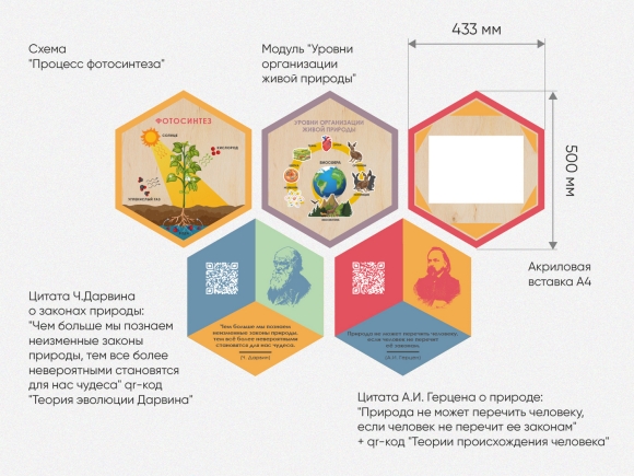 «Стендум - Биология» - набор информационно-методических панелей (14 шт.)